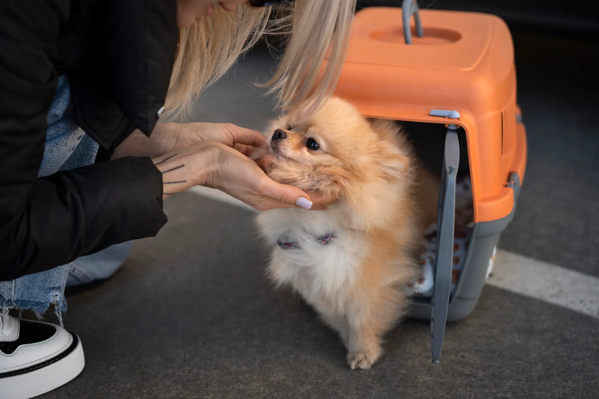 宝宝值得拥有最好的呵护 - kaiyun3